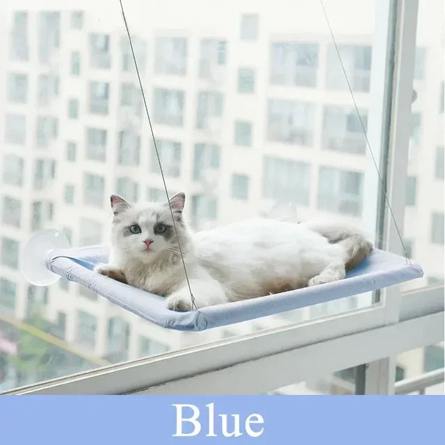 Hammock Cat Window