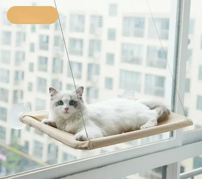 Hammock Cat Window