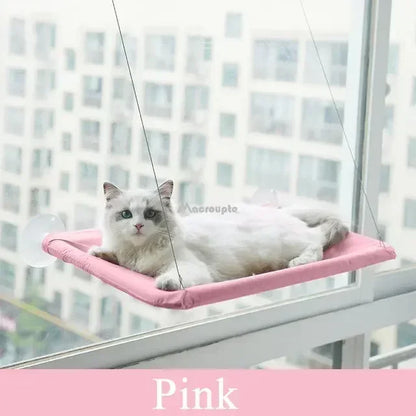 Hammock Cat Window