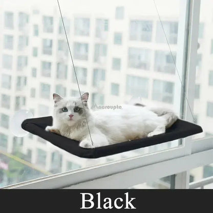 Hammock Cat Window